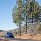 Illustration for article titled The 2015 Volkswagen Golf R Is Proof VW Doesn't Really Hate Us